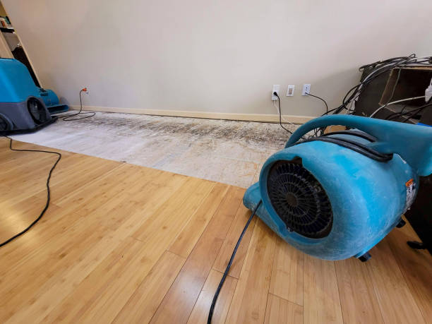 Professional Basement Flood Cleanup technician working in Pierce, NE